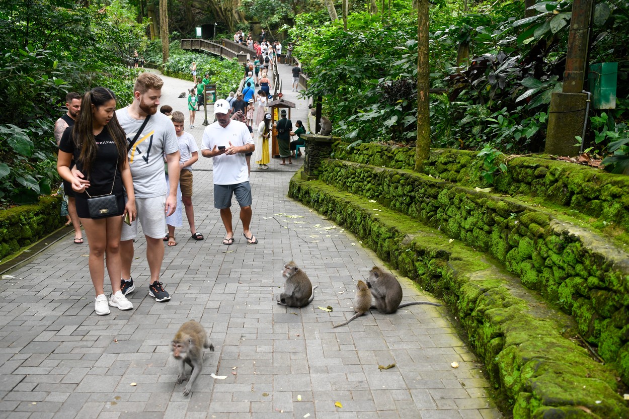 După ce a creat panică interzicând relațiile sexuale în afara căsătoriei, Indonezia îi asigură pe turiști că nu-i va verifica în Bali