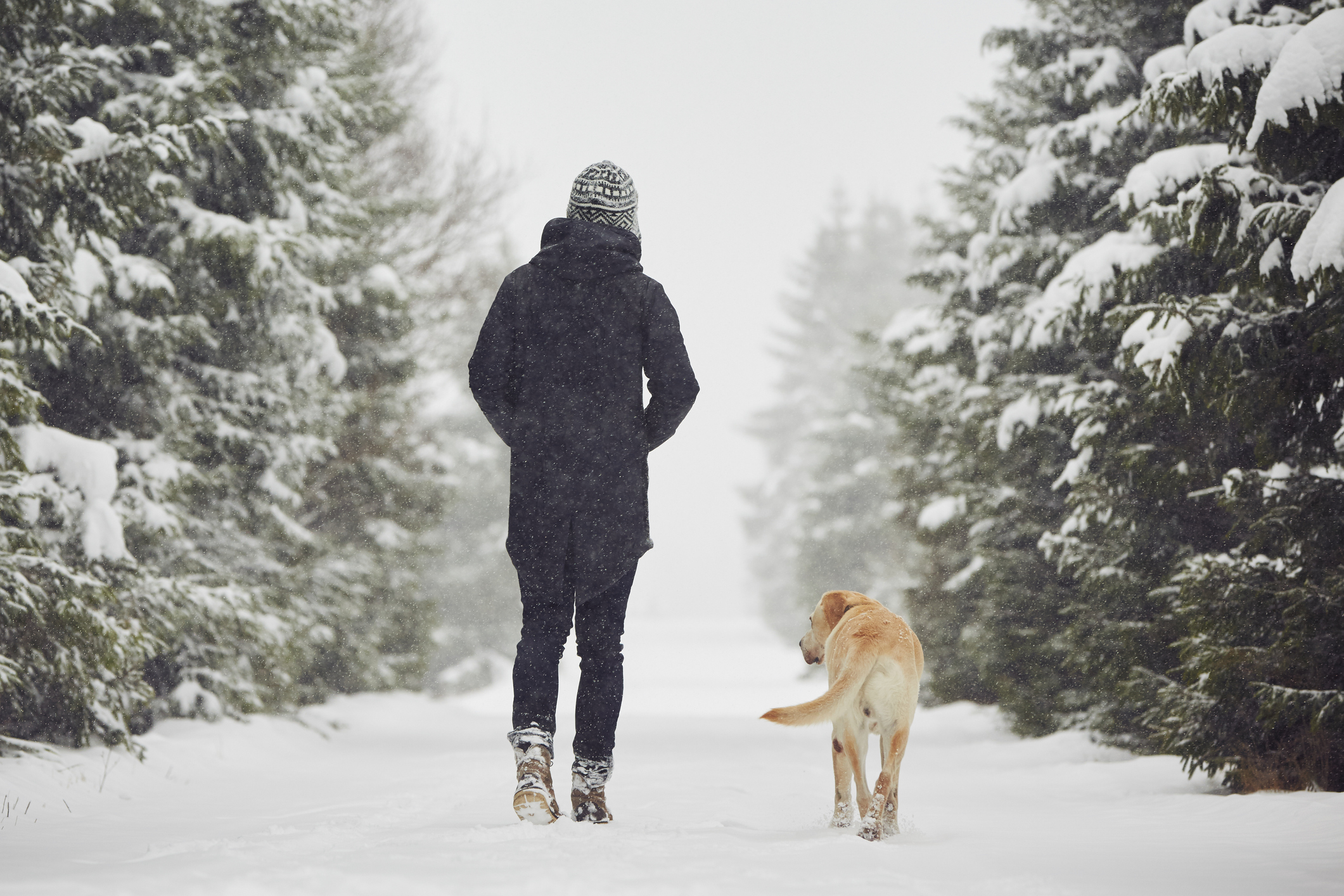 Prognoza meteo pentru perioada 12-25 decembrie. Cum va fi vremea în prima zi de Crăciun