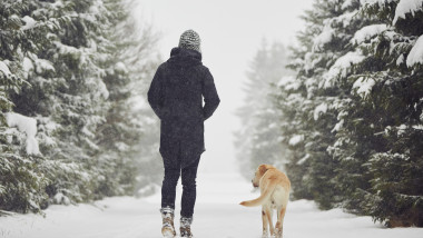 o persoana isi plimba cainele in ninsoare