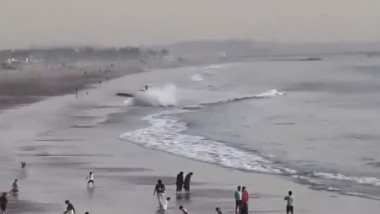 plajă cu trecători și un avion care se prăbușește în valuri