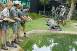 Make It Snappy! Staff Risk Life And Limb To Perform Dental Procedure On Crocodile