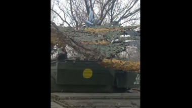 drone kamikaze rusești blocate în crengi lângă un tanc ucrainean