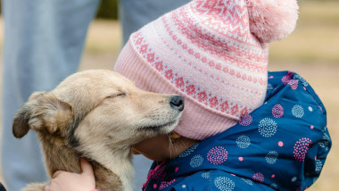 Peste 1.200 de câini au fost adoptați la târgurile organizate de Primăria Capitalei în acest an