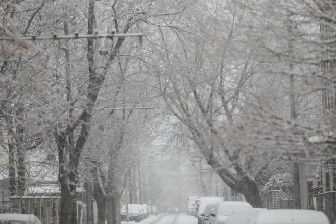 A nins în București. Foto: Inquam Photos/Octav Ganea
