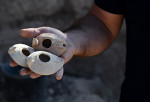 An Archeologist For The Israel Antiquities Authority Holds Clay Lamps Found Outside The Salome Cave In The Lachish Forest