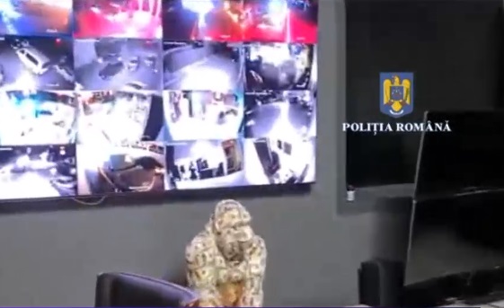 "Nu pot să cred". Reacția anchetatorilor când au găsit o gorilă făcută din dolari în casa fraților Tate