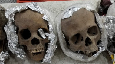 cranii umane