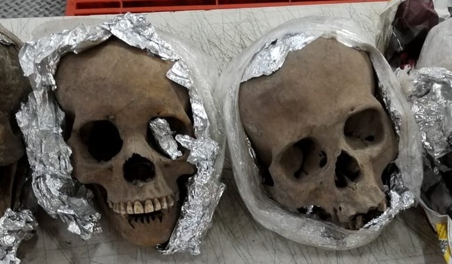 Patru cranii umane au fost trimise cu curierul din Mexic în SUA