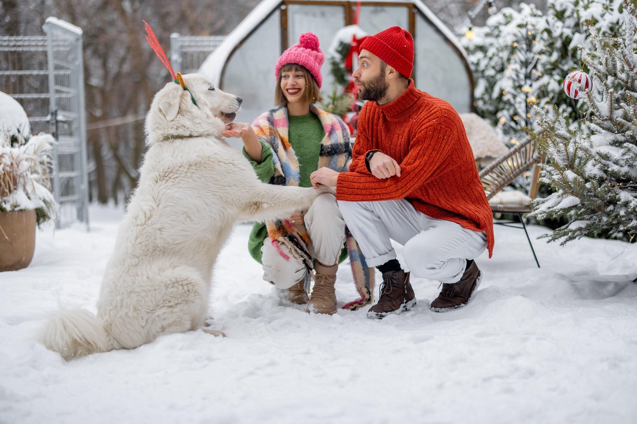 România, etichetată printre cele mai fericite țări din lume. În clasamentul "Happiness" a devansat Spania, Italia, Croația