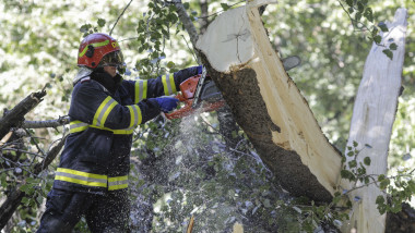 Un pompier taie cu drujba o craca de copac doborat de vant