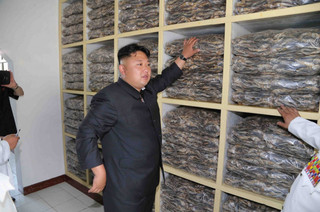 kim jong un (12)