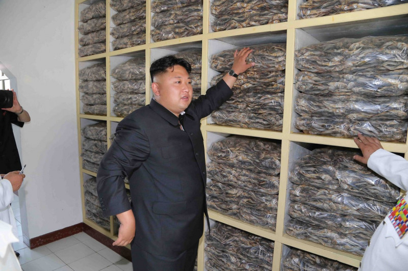 kim jong un (12)