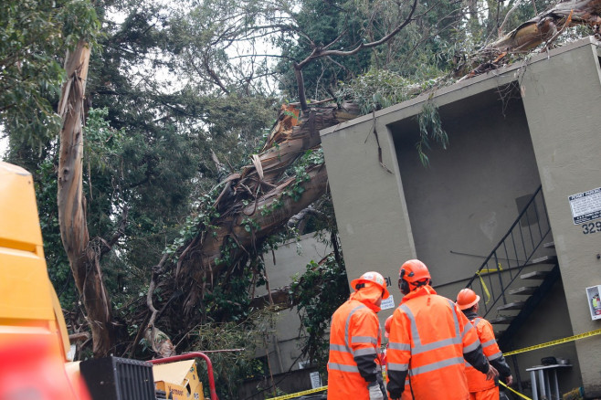 Tree toppled onto an apartment in Oakland, US - 05 Jan 2023