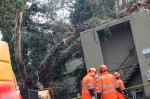 Tree toppled onto an apartment in Oakland, US - 05 Jan 2023