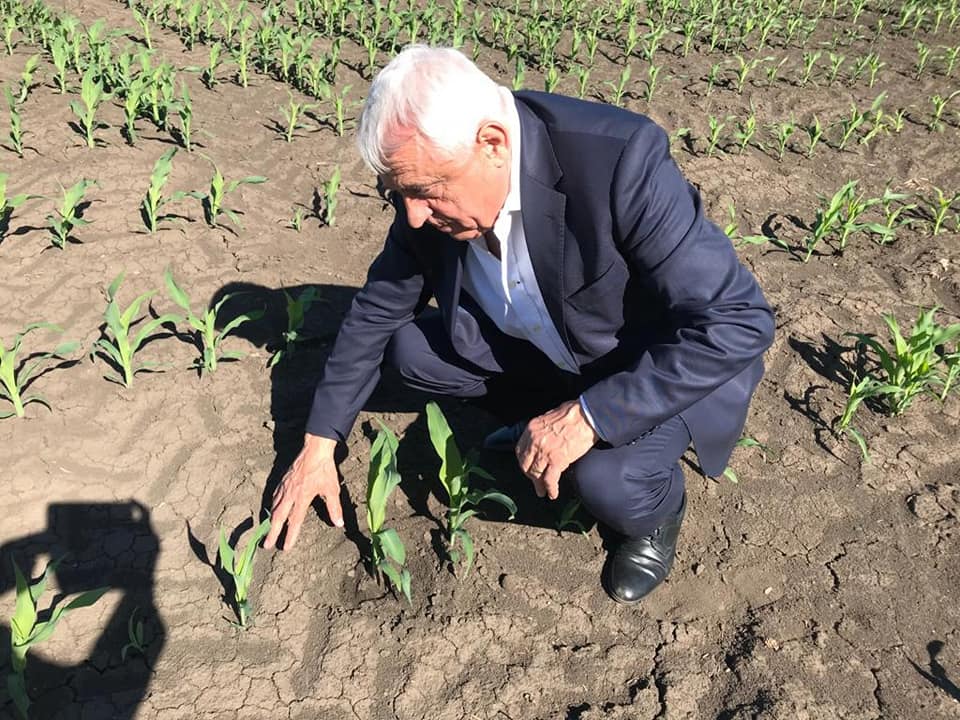 Petre Daea spune că "face balet cu mintea": Sunt ca panoul fotovoltaic, mă încarc dacă e soare, iar noaptea am energie de peste zi
