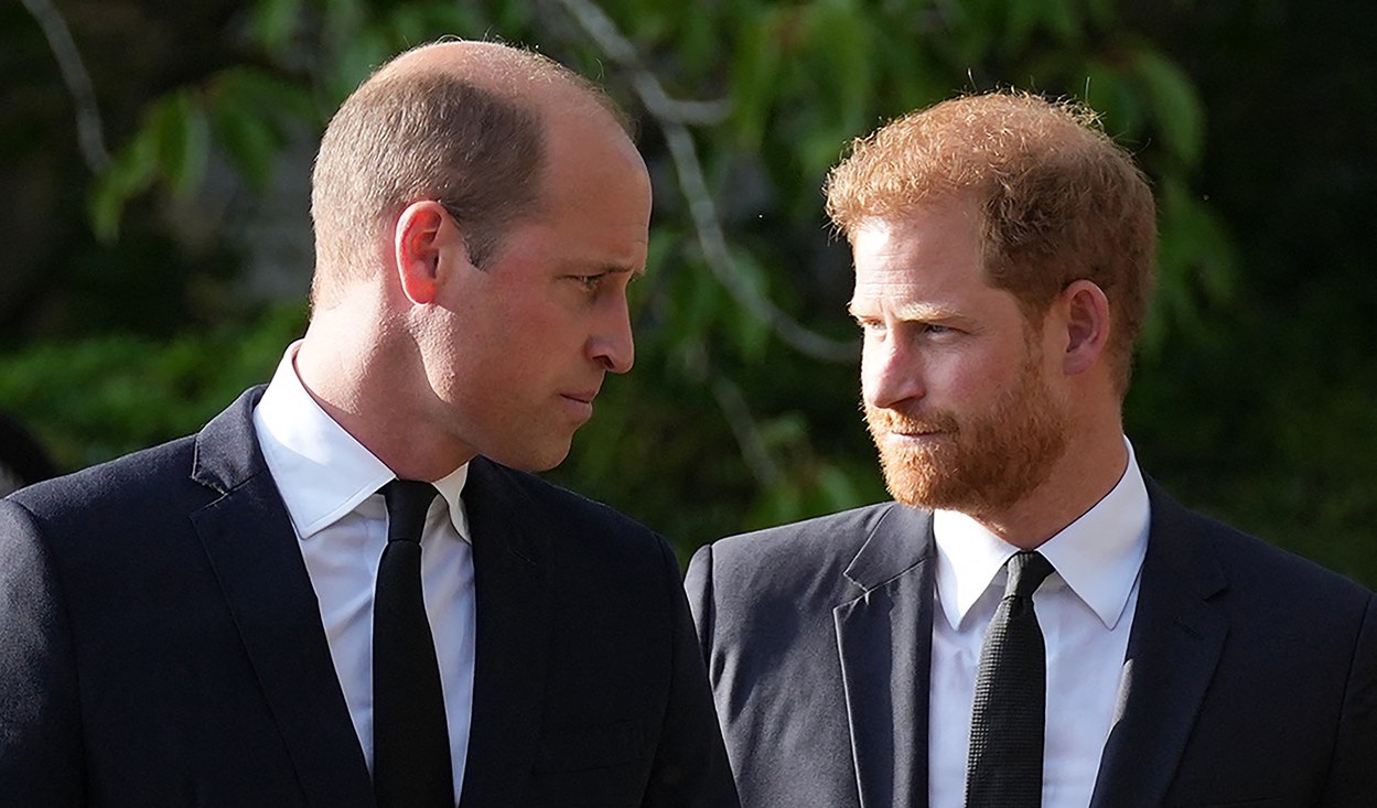Ce a spus prințul Harry despre copiii fratelui său, William. „Asta mă doare, mă îngrijorează”