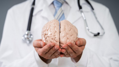 Doctor ține în mână un model de creier