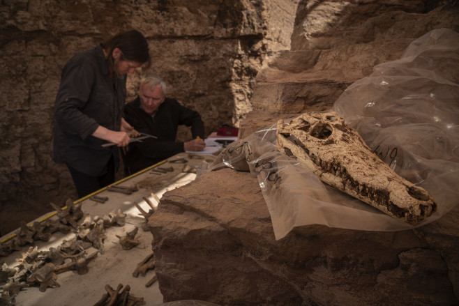 Egypt Qubbat-Al-Hawa Crocodile Mummies, Qubbat Al-Hawa, Egypt - 19 Jan 2023