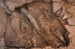 Egypt Qubbat-Al-Hawa Crocodile Mummies, Qubbat Al-Hawa, Egypt - 19 Jan 2023