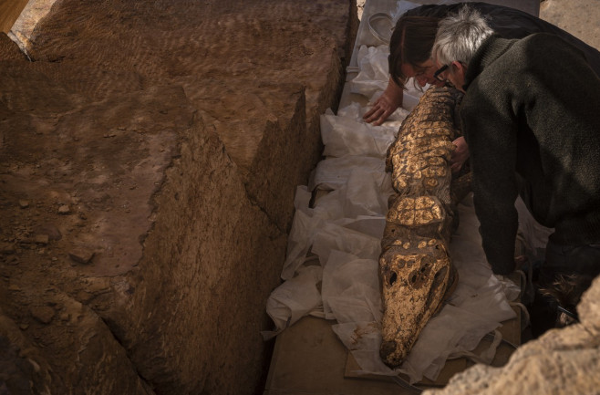 EGYPT QUBBAT-AL-HAWA CROCODILE MUMMIES