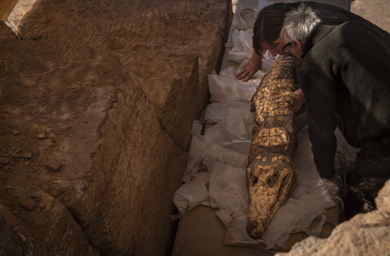 EGYPT QUBBAT-AL-HAWA CROCODILE MUMMIES