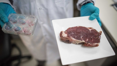carne de vaca facuta in laborator, din celule