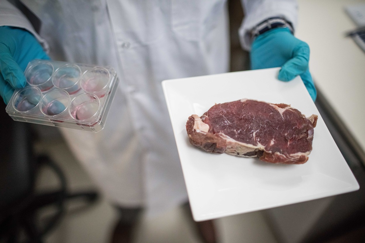 Carnea „cultivată” din celule de vacă este cuşer, a stabilit rabinul-şef al Israelului