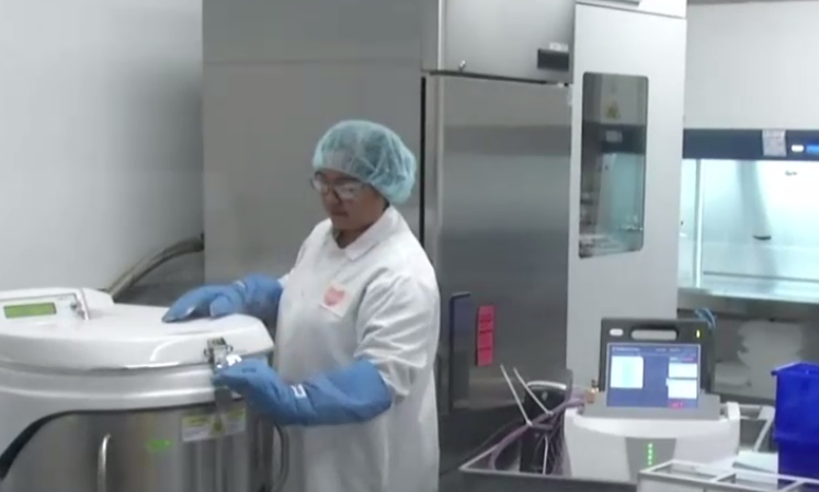 Cum arata „fabrica de fripturi”, locul unde se produce carnea de laborator