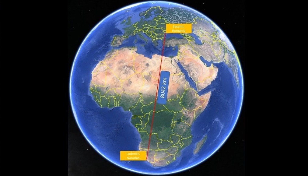 Un pietrus a zburat peste 8.000 de kilometri, din Delta Dunarii pana in sudul Africii