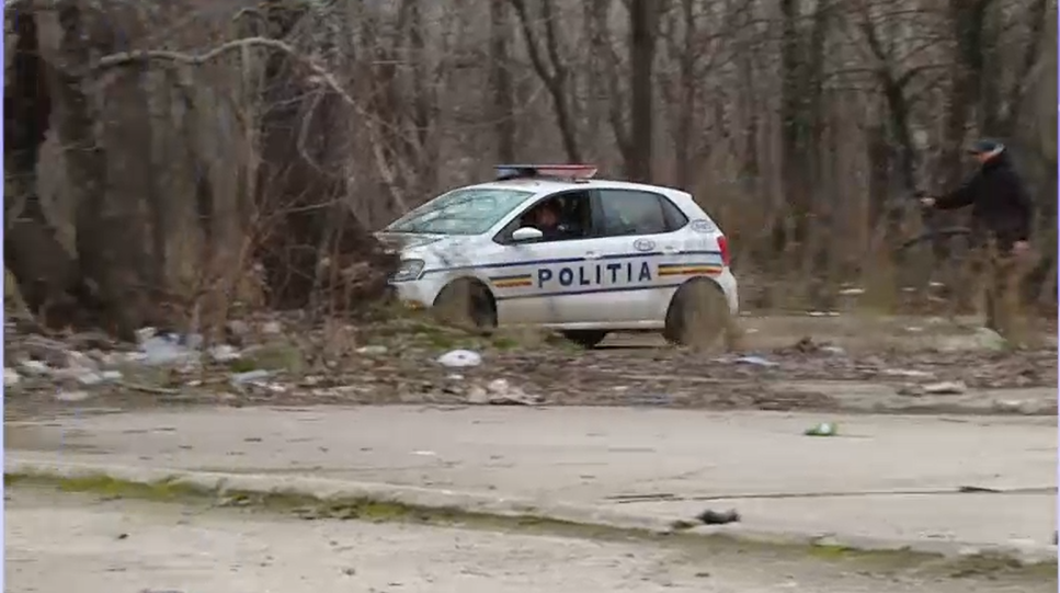 Bucuresteni alergati de caini, ignorati de politie