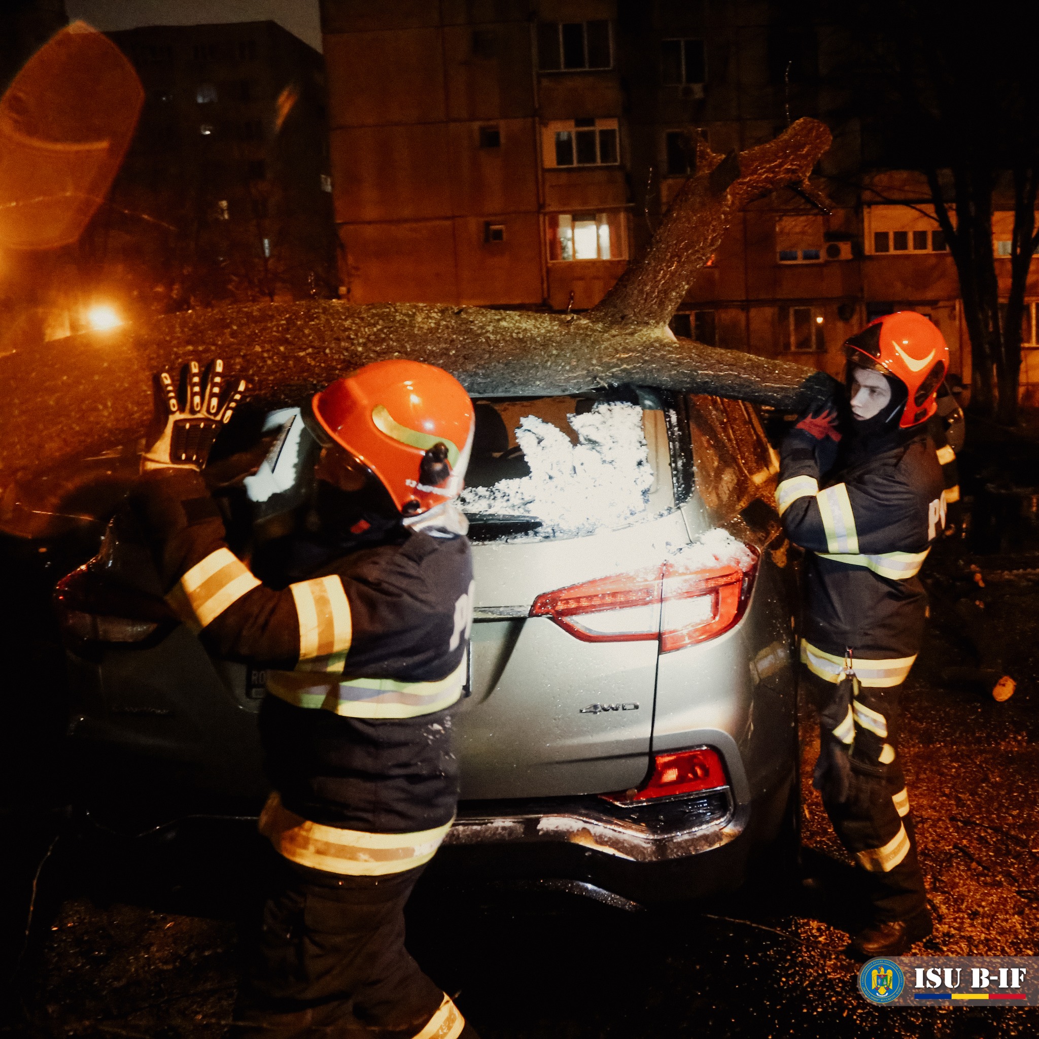 Zeci de maşini au fost avariate în Bucureşti şi Ilfov din cauza copacilor căzuți