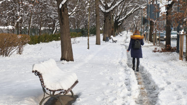 femeie cu spatele merge printr-o cărare de zăpadă într-un parc din bucurești