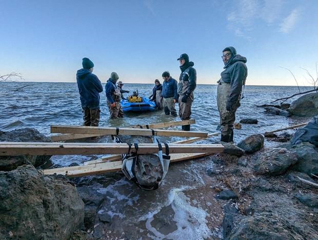 A fost găsit un craniu de balenă vechi de 12 milioane de ani. ”Am avut impresia că am câştigat Cupa Mondială de Paleontologie”