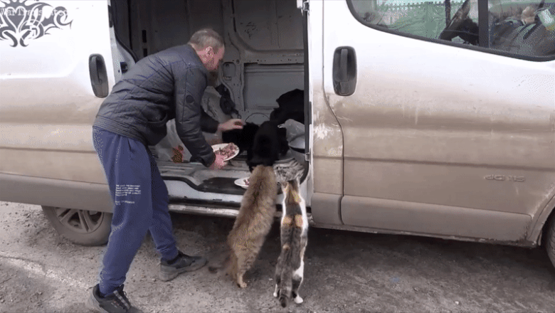 Voluntar ucrainean hrănește câinii și pisicile abandonate în Bahmut
