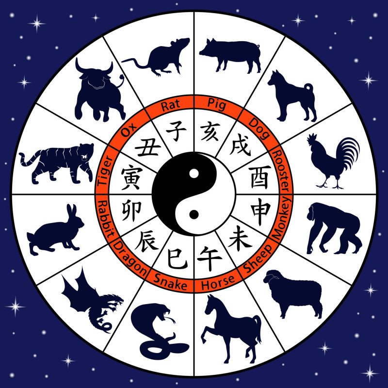 ilustrație simboluri animale zodiacul chinezesc