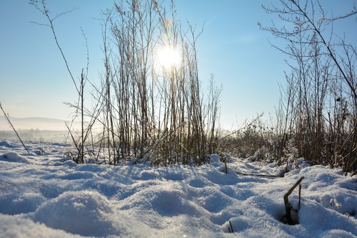 Prognoza meteo pentru perioada 30 ianuarie – 12 februarie, pe regiuni: Cum va fi vremea în următoarele săptămâni și unde va ninge