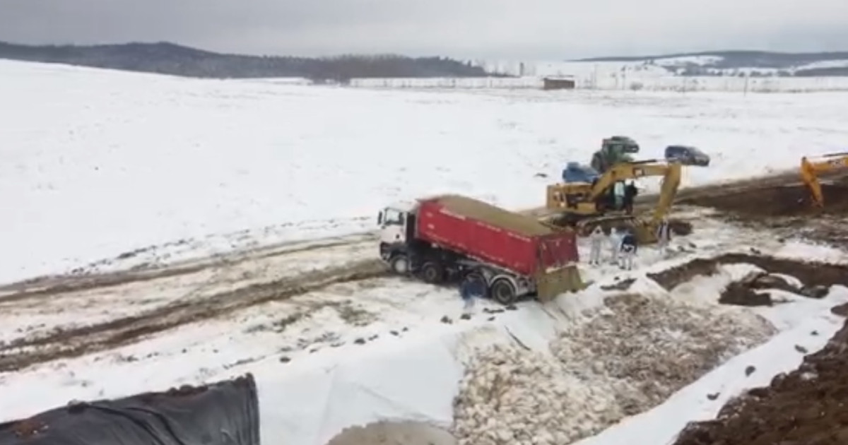 Catastrofă la cea mai mare fermă de curcani. Gropi uriașe pentru sute de mii de păsări ucise din cauza gripei aviare