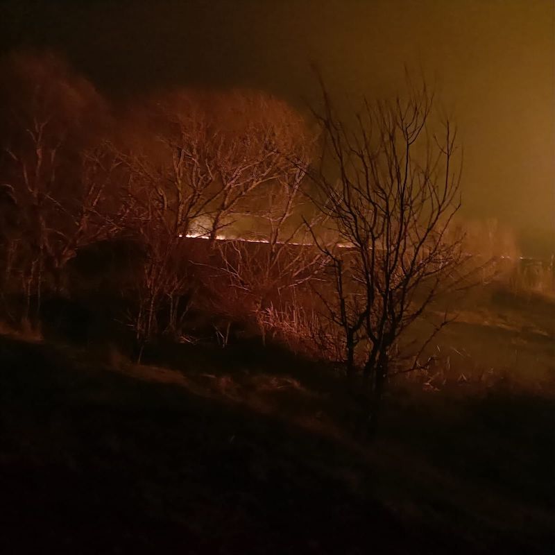 Incendiu puternic în Delta Dunării, lângă Sulina. Ard peste 150 de hectare de vegetaţie
