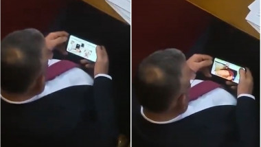 O înregistrare video din timpul dezbaterii îl arată pe Zvonimir Stevici urmărind o serie de clipuri pornografice