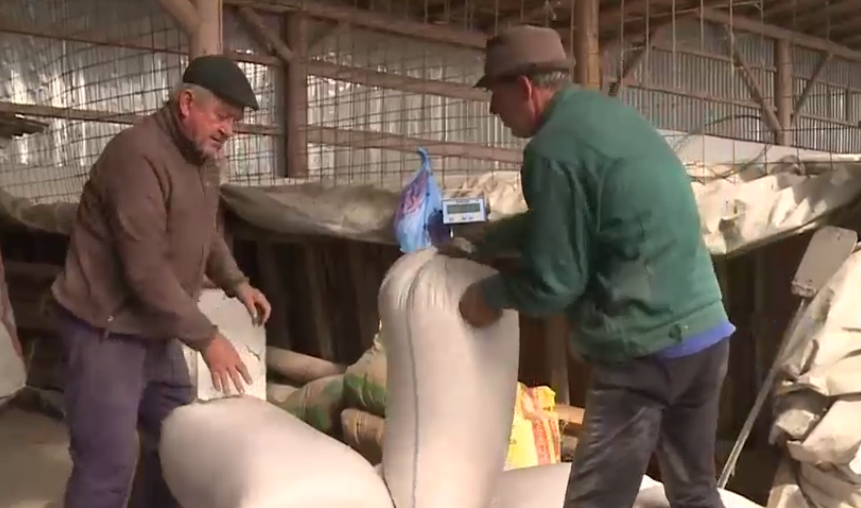 VIDEO. Doar fermierii cu școală primesc subvenții. „Să plătesc, că m-or învăța ei când să mulg vaca?”. „Nu fac, mai bine vând tot”
