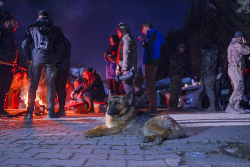 Search and rescue efforts continue in Hatay