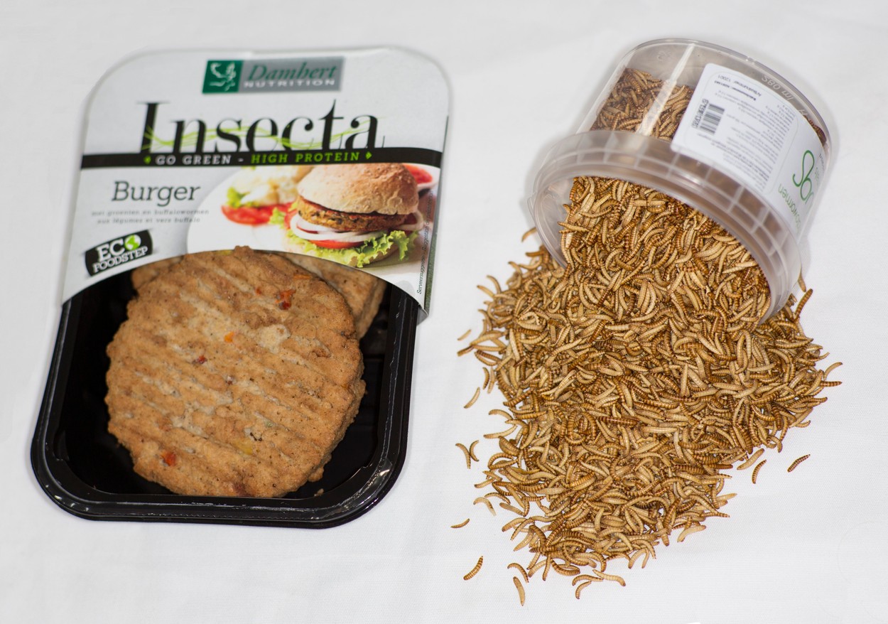 Țara care a interzis alimentele cu conţinut de insecte