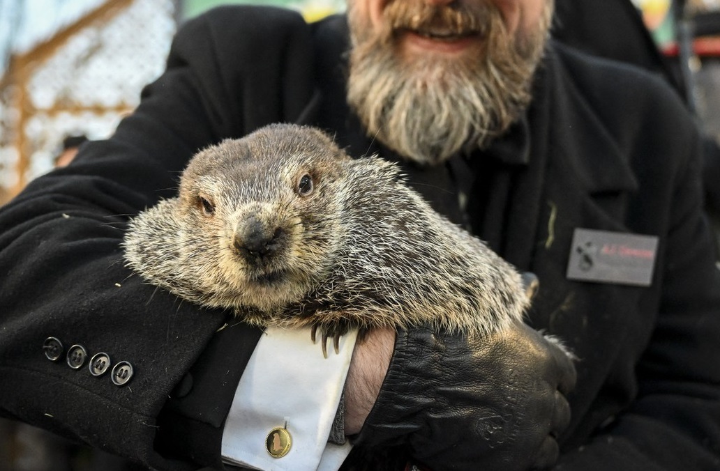 „Phil și-a văzut umbra”. Cât va mai dura iarna în SUA, conform „predicției” marmotei din Pennsylvania