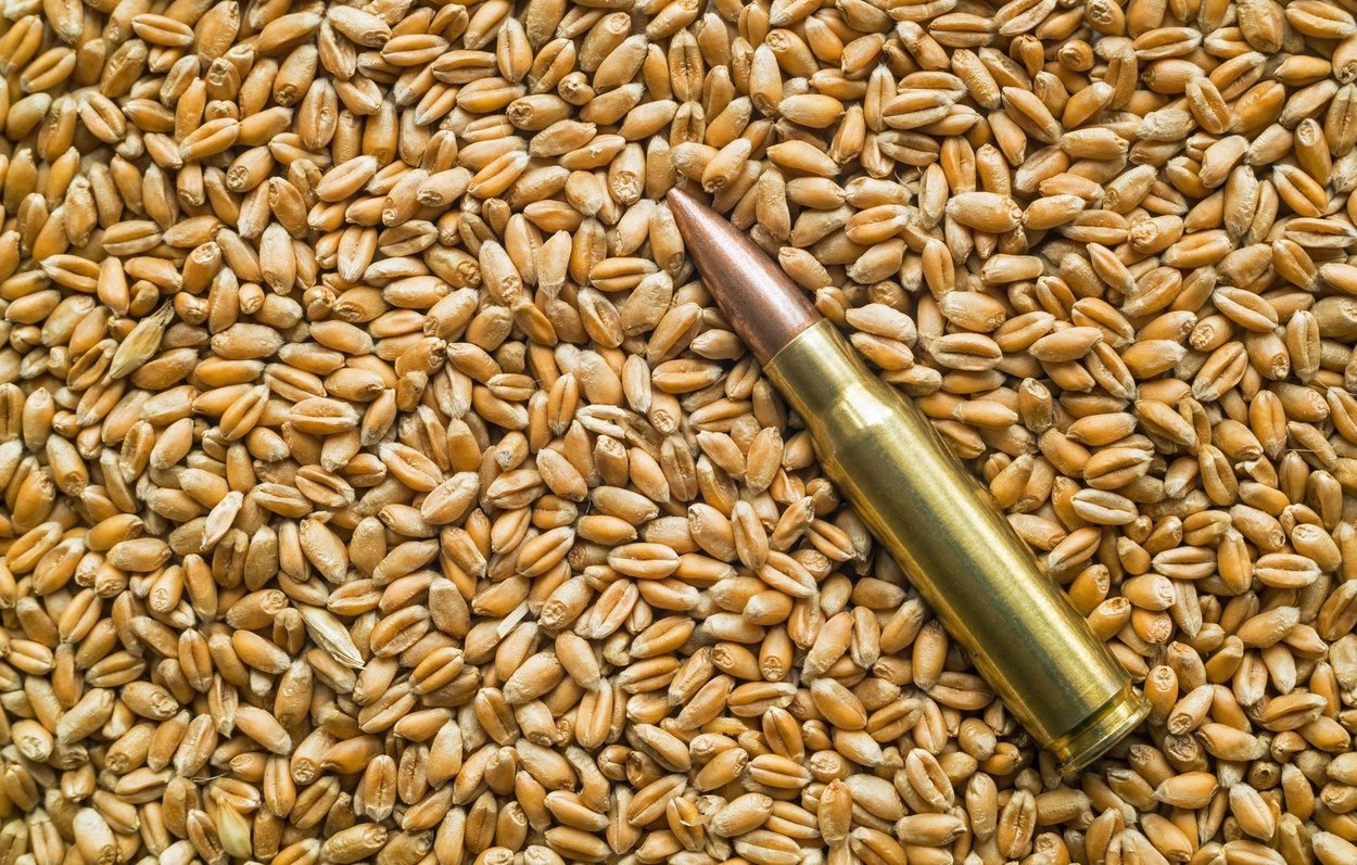Rusia își crește exporturile de grâu pe baza cerealelor din teritoriile ocupate în Ucraina