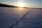 RUSSIA-CHELYABINSK-METEORITE HIT