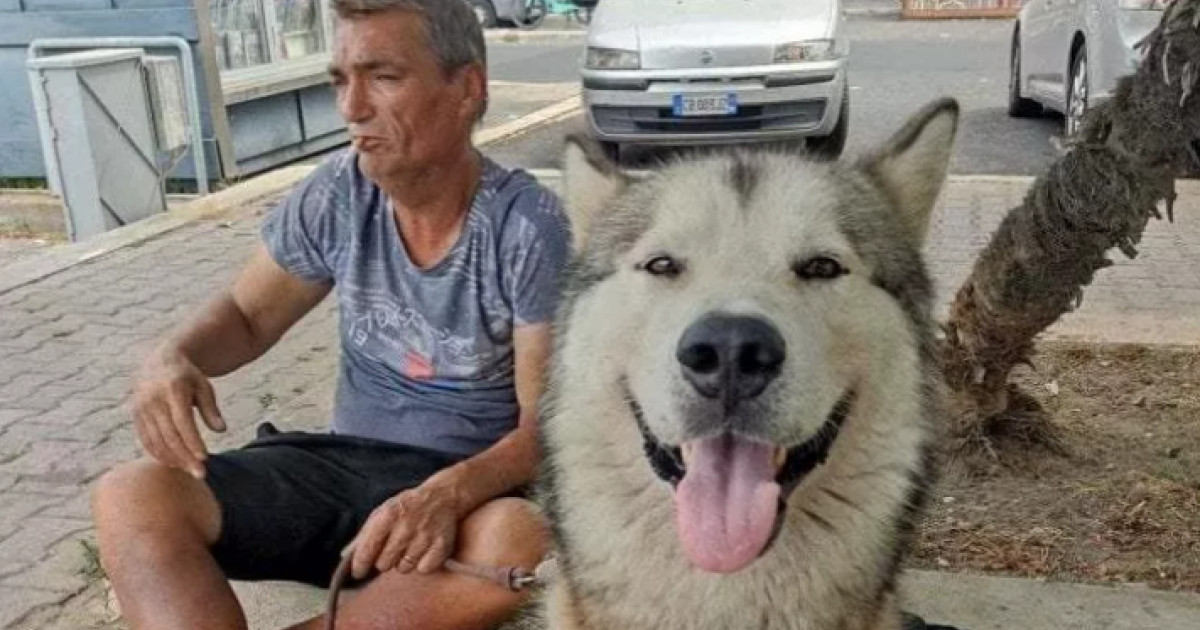 La triste storia di Ionel, il rumeno d’Italia che rifiutò di farsi internare per non abbandonare il suo cane.  L’uomo è morto