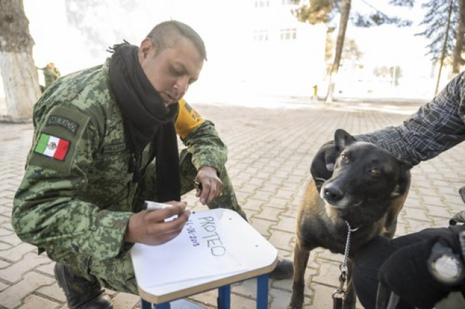 Proteo, câinele care a murit în timp ce căuta supraviețuitori în Turcia, a fost repatriat și întâmpinat ca un erou