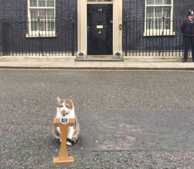 Motanul Larry, cel mai longeviv în serviciul de pe Downing Street 10. Niciun premier britanic nu a reușit această performanță