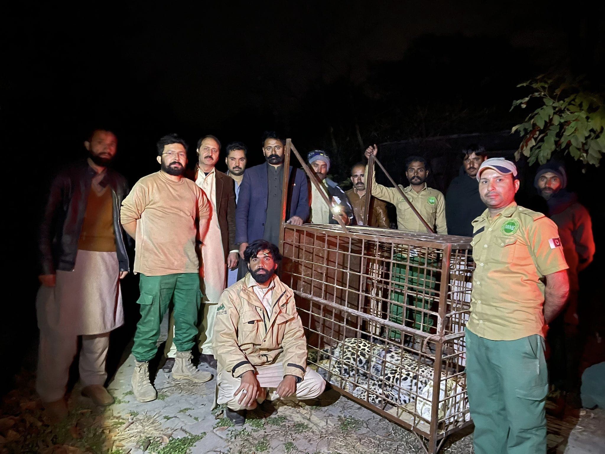 Un leopard ținut ca animal de companie a scăpat dintr-o casă și a provocat panică ore întregi în capitala Pakistanului