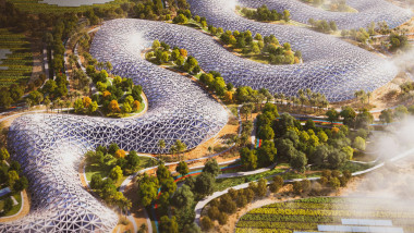 Dubai To Build Huge 'AgriHub' Farm